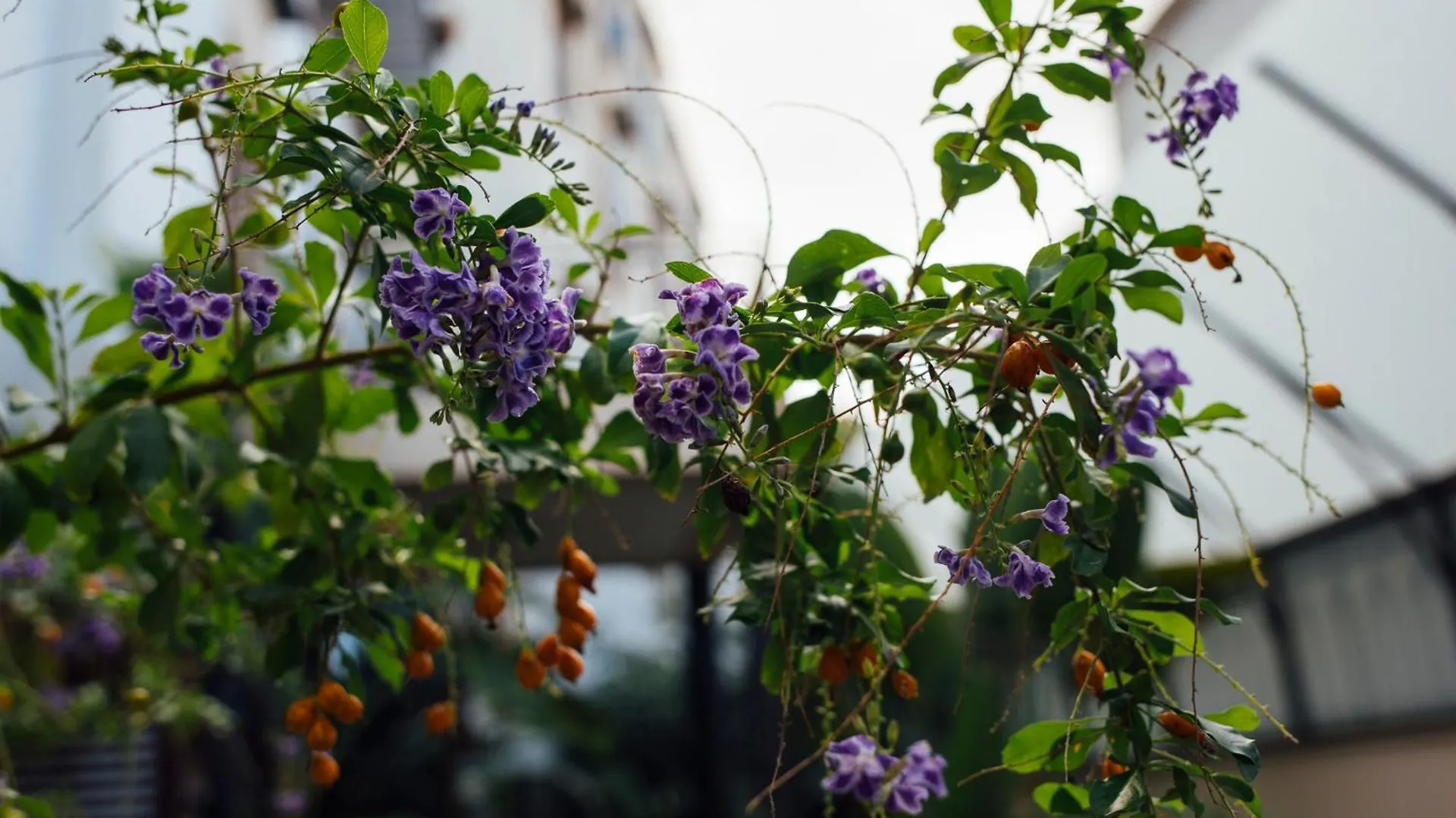 Atmosfere Puniche B&B Palermo Bed & Breakfast